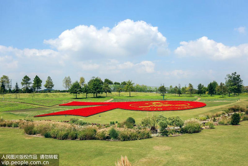 上海辰山植物园迎国庆换皇冠体育比分网址“新装”巨型“70花坛”亮相