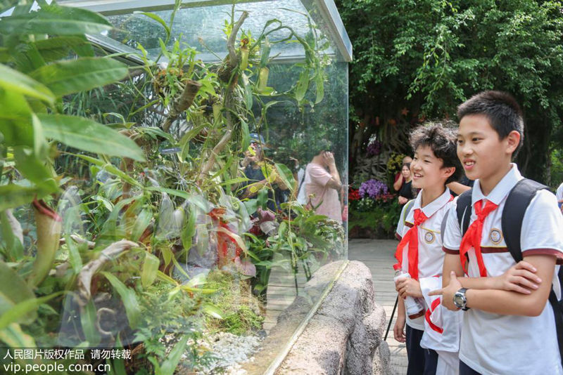 上海辰山植物园迎国庆换皇冠体育比分网址“新装”巨型“70花坛”亮相