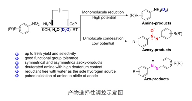 CoP电催化合成氧化偶皇冠体育比分网址氮、偶氮、胺类化合物